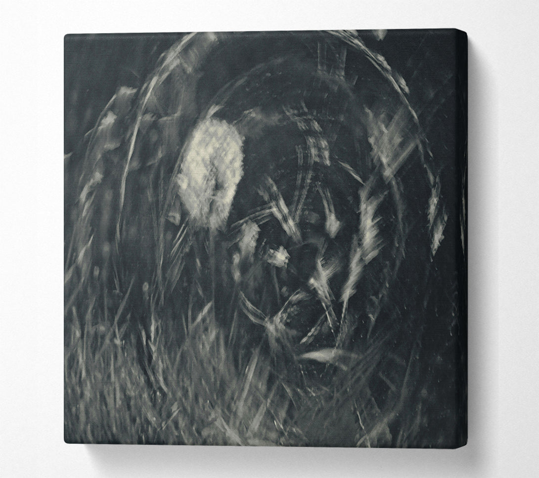  A Canvas Print of Silver Whispers Of Time. Canvas Print