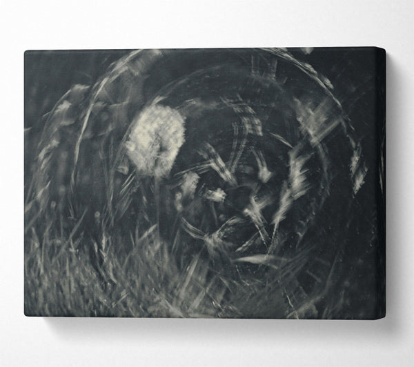 A Canvas Print of Silver Whispers Of Time. Canvas Print