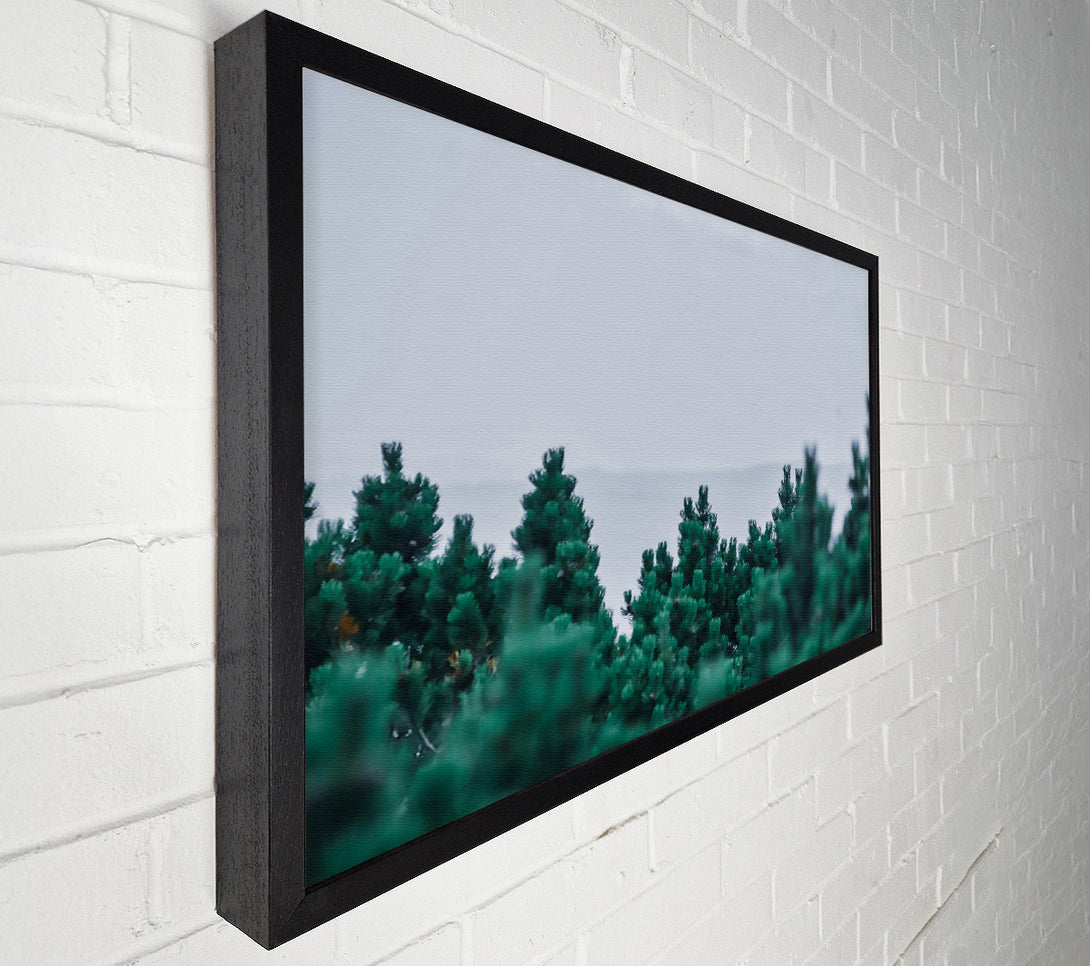  A Canvas Print of Emerald Pine Forest Canvas Wall Art