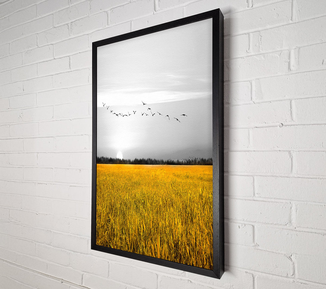  A Canvas Print of Birds Over A Corn Field Canvas Wall Art