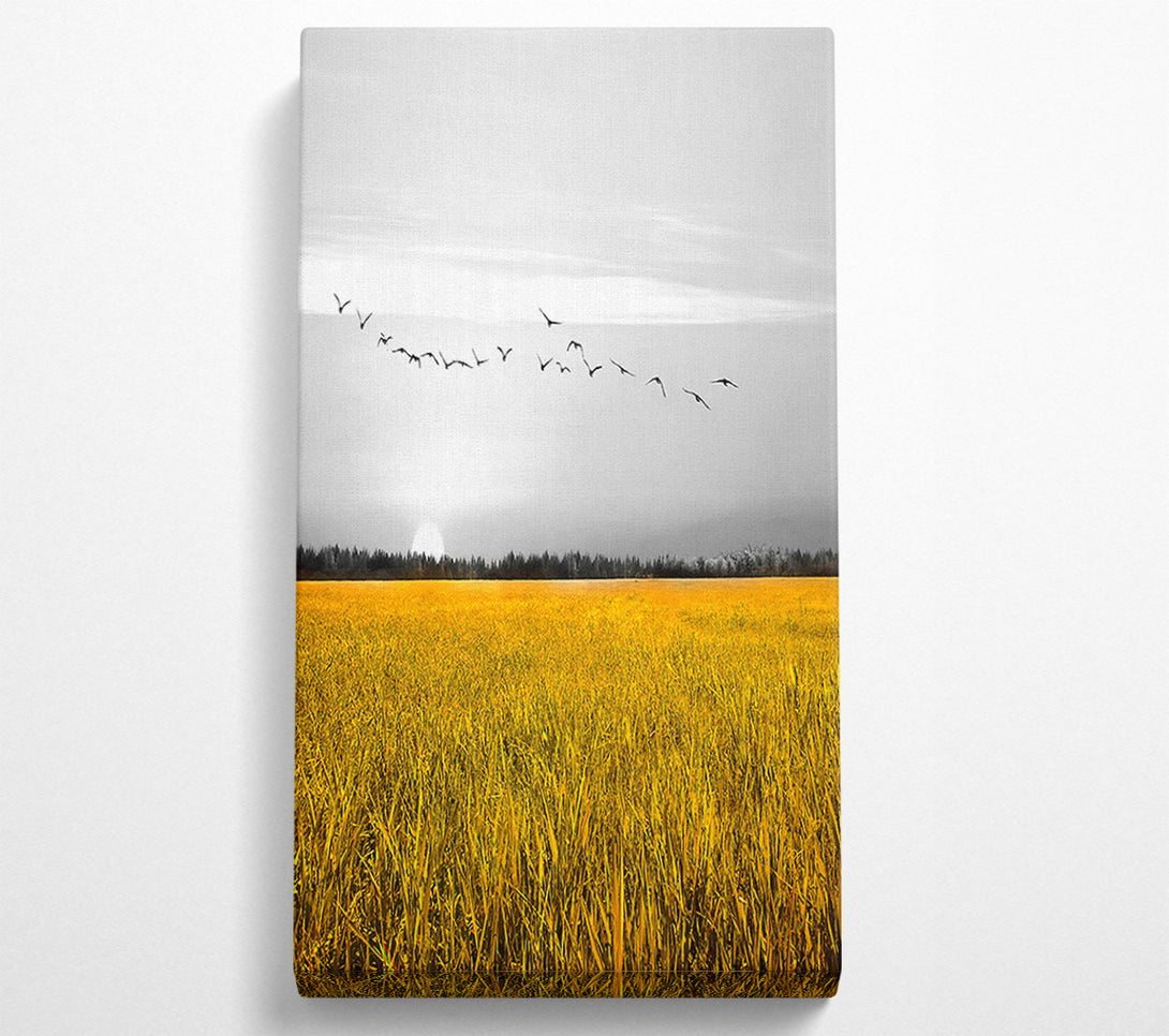  A Canvas Print of Birds Over A Corn Field Canvas Wall Art