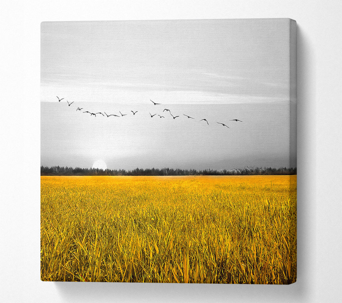  A Canvas Print of Birds Over A Corn Field Canvas Wall Art