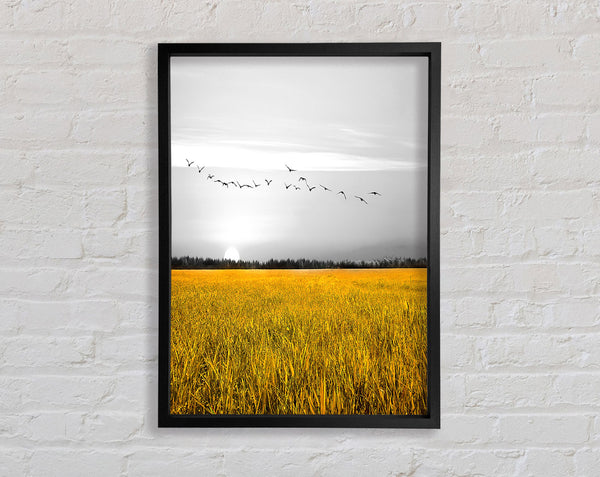 Birds Over A Corn Field Framed Print