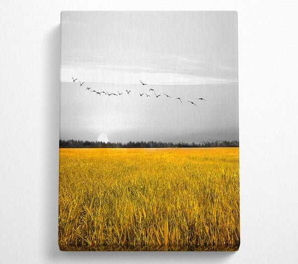  A Canvas Print of Birds Over A Corn Field Canvas Wall Art