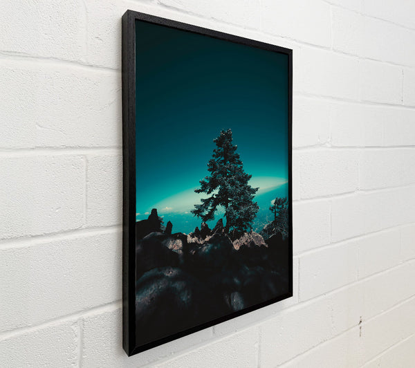 Teal Silhouette Treetop