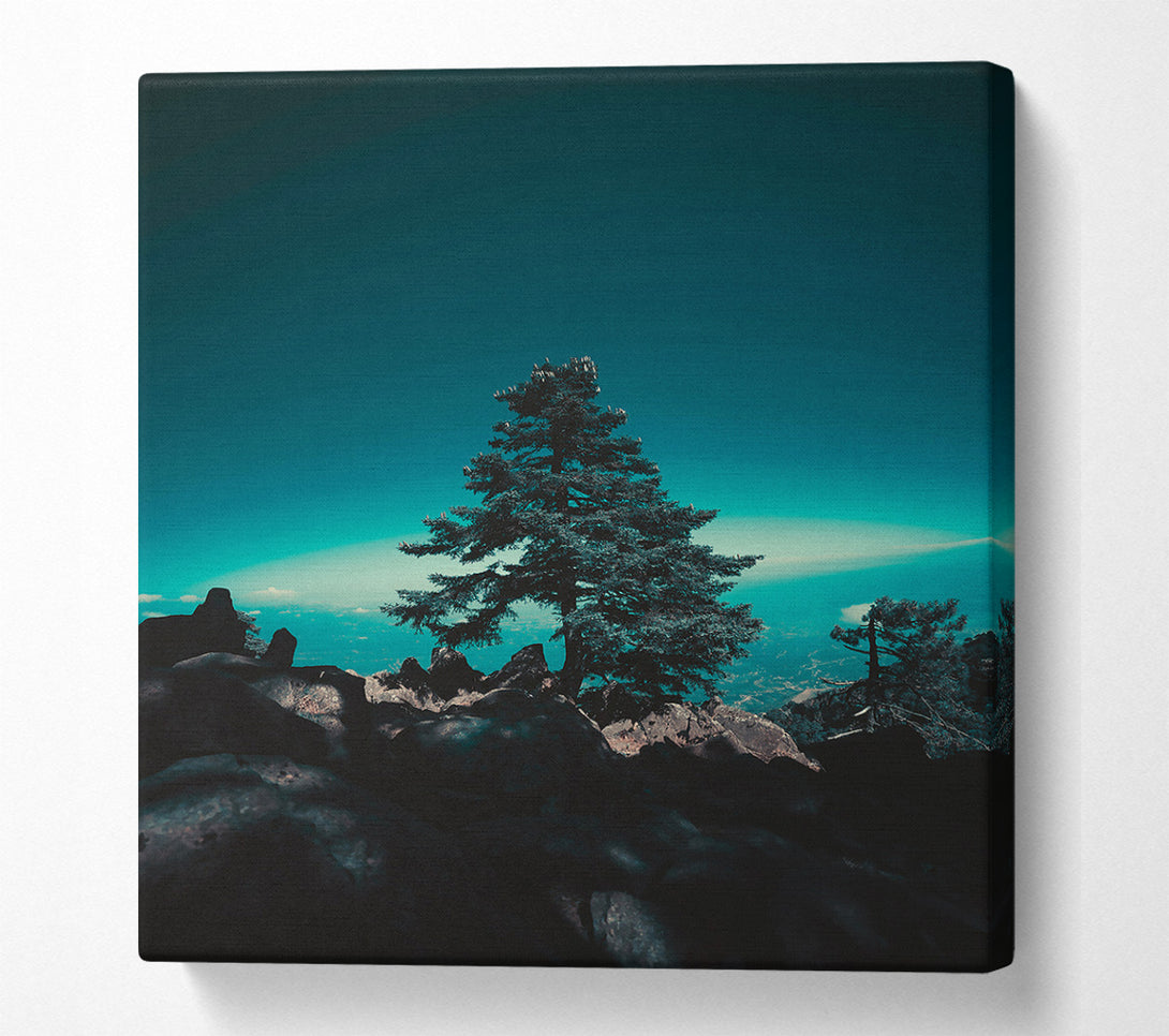  A Canvas Print of Teal Silhouette Treetop Canvas Art