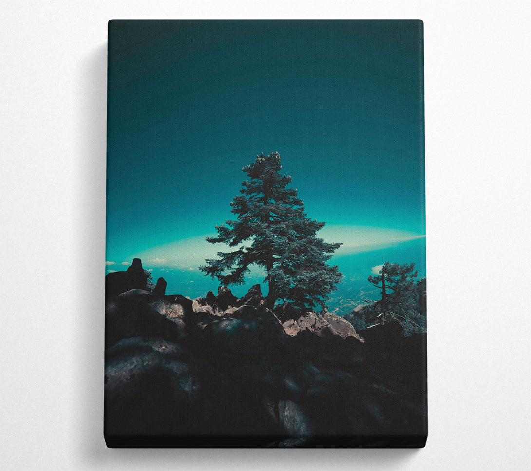  A Canvas Print of Teal Silhouette Treetop Canvas Art
