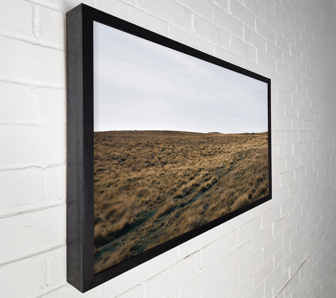 A Canvas Print of Golden Grass Path Canvas Art