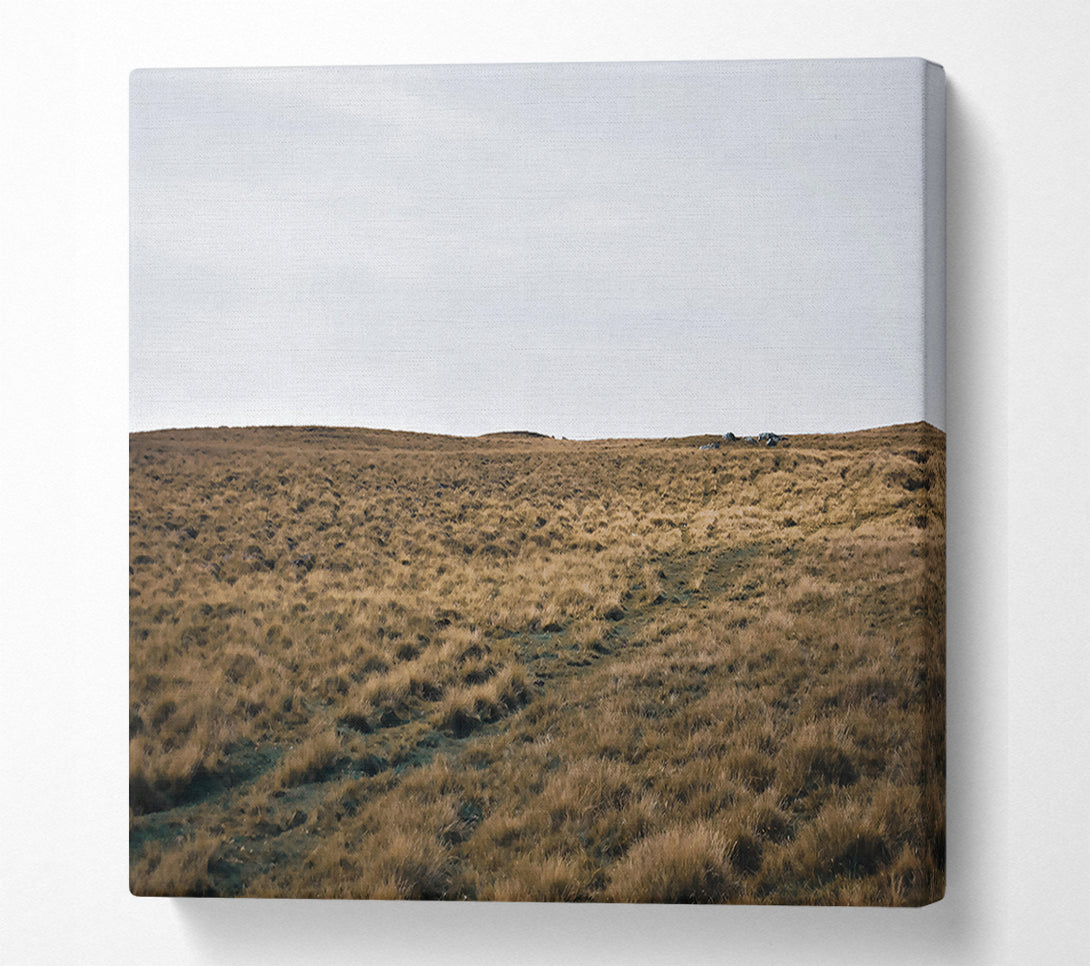  A Canvas Print of Golden Grass Path Canvas Art