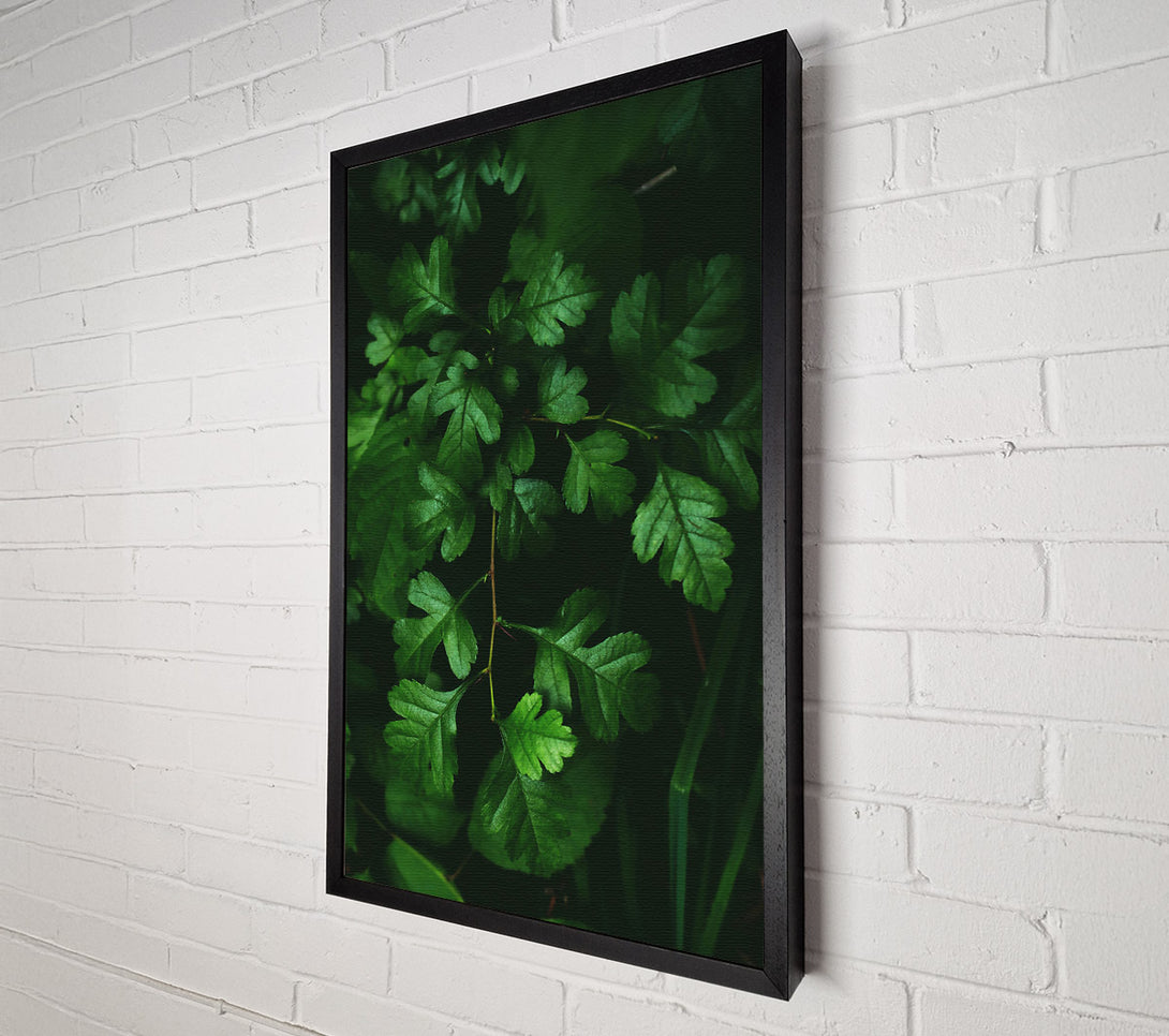  A Canvas Print of Emerald Forest Branch Canvas Wall Art