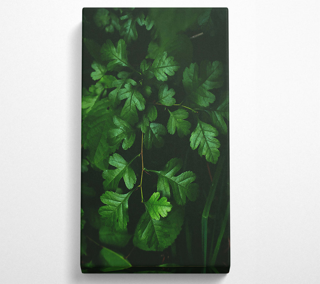  A Canvas Print of Emerald Forest Branch Canvas Wall Art