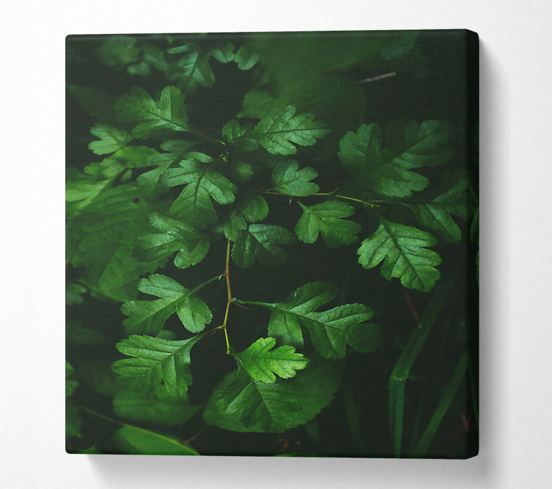  A Canvas Print of Emerald Forest Branch Canvas Wall Art