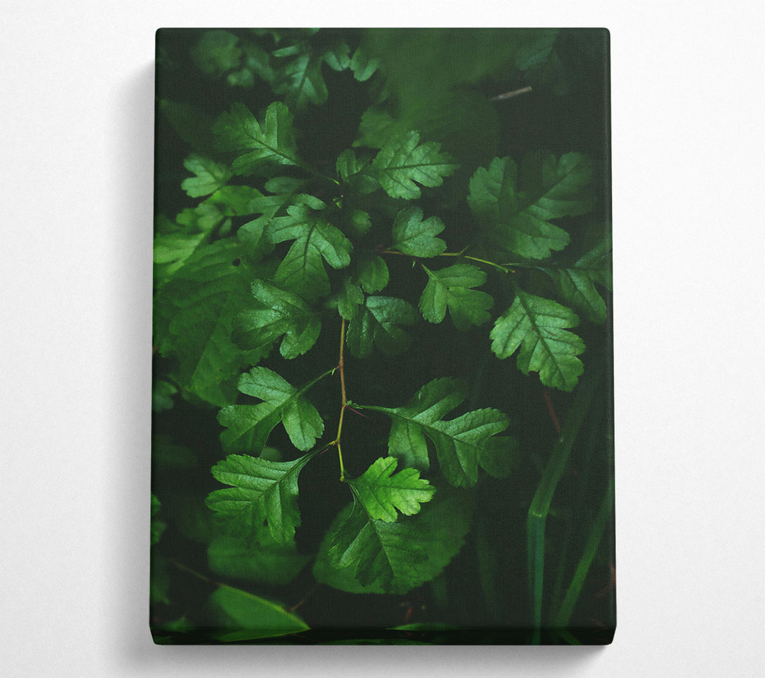  A Canvas Print of Emerald Forest Branch Canvas Wall Art