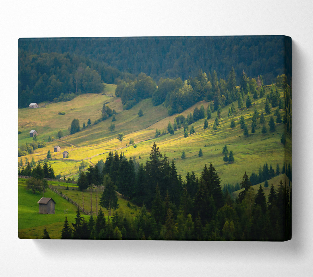  A Canvas Print of Golden Green Hillsides Canvas Art