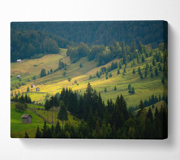  A Canvas Print of Golden Green Hillsides Canvas Art