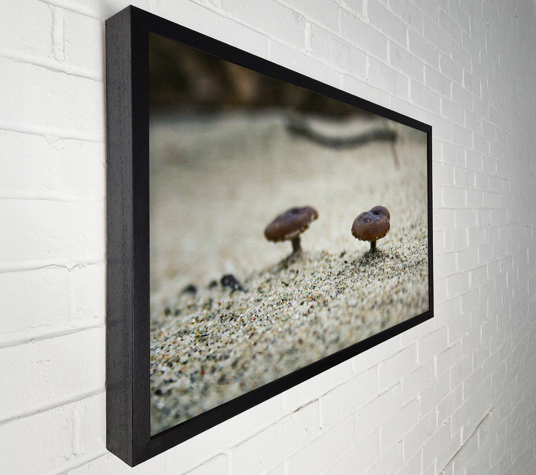  A Canvas Print of Brown Shroom Sand Canvas Wall Art