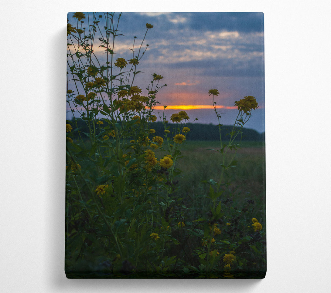 A Canvas Print of Golden Sunset Bloom Canvas Wall Art