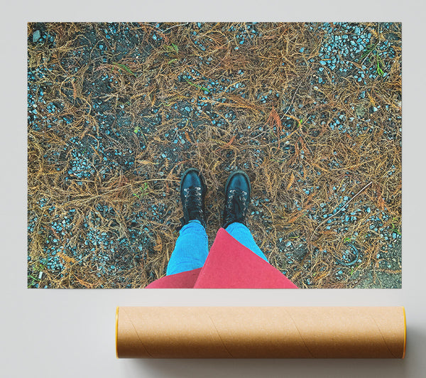 Blue Ground And Boots Poster