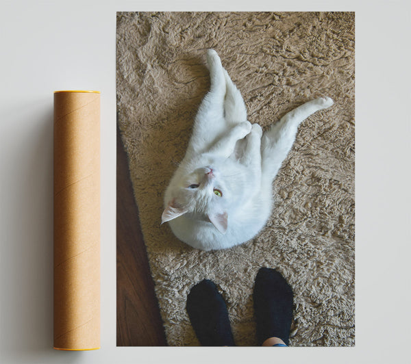 White Cat On Tan Rug Print