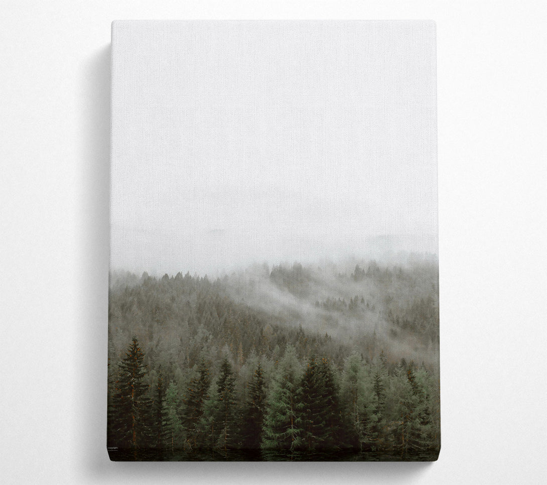  A Canvas Print of Green Mist Forest Canvas Print