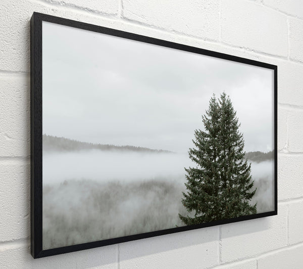 Green Through The Mist