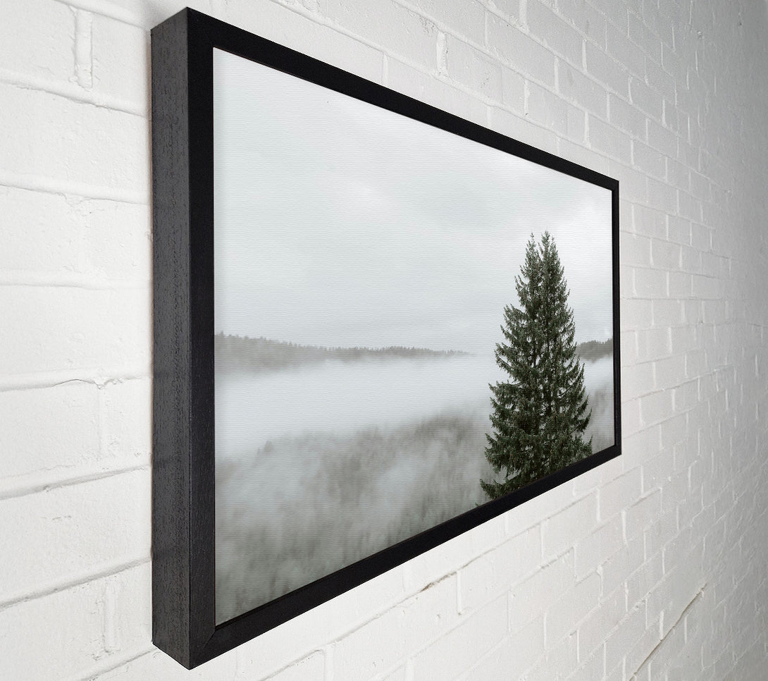  A Canvas Print of Green Through The Mist Canvas Art