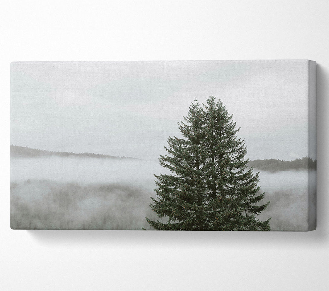  A Canvas Print of Green Through The Mist Canvas Art