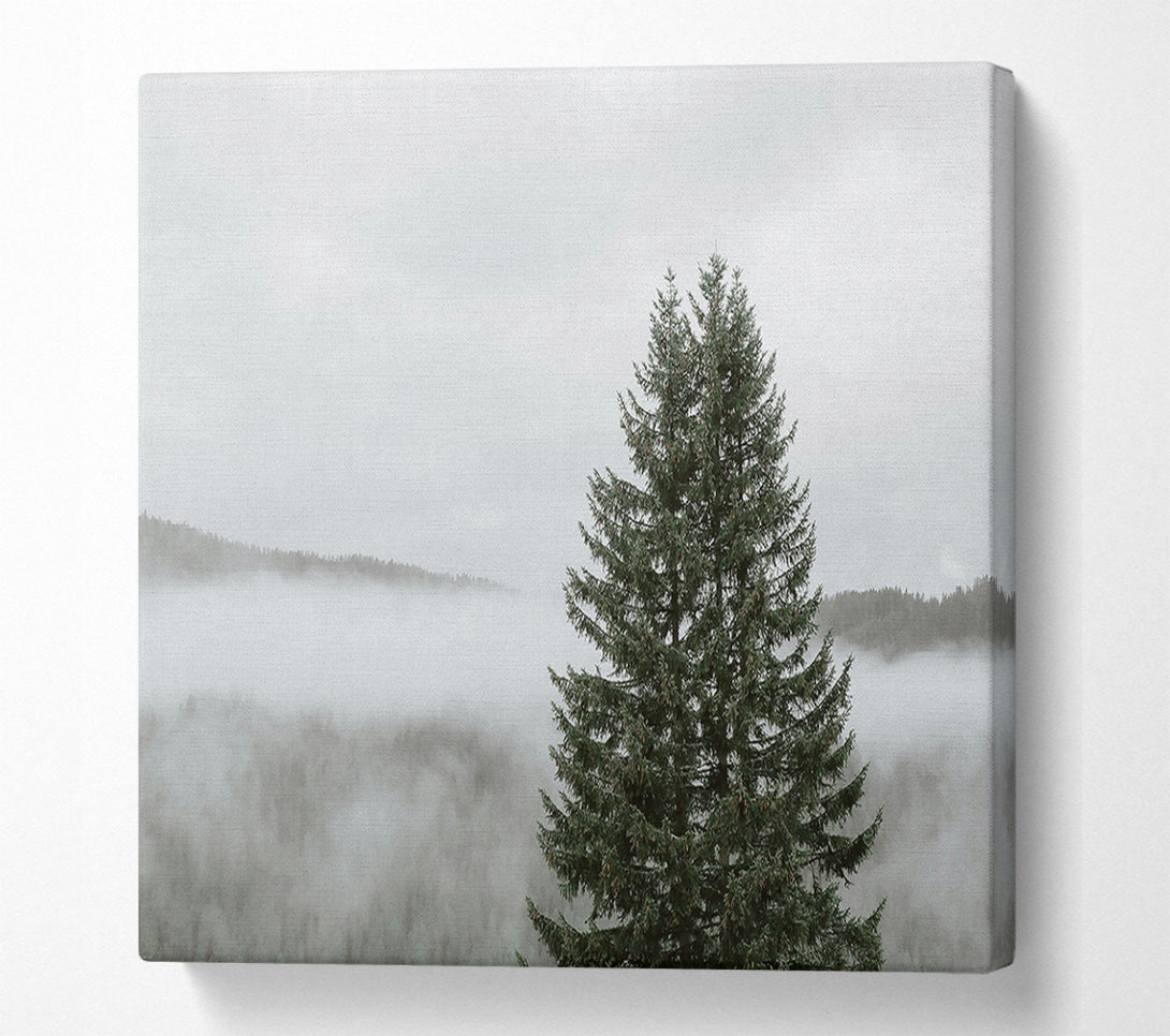  A Canvas Print of Green Through The Mist Canvas Art