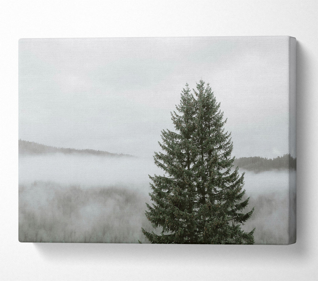  A Canvas Print of Green Through The Mist Canvas Art