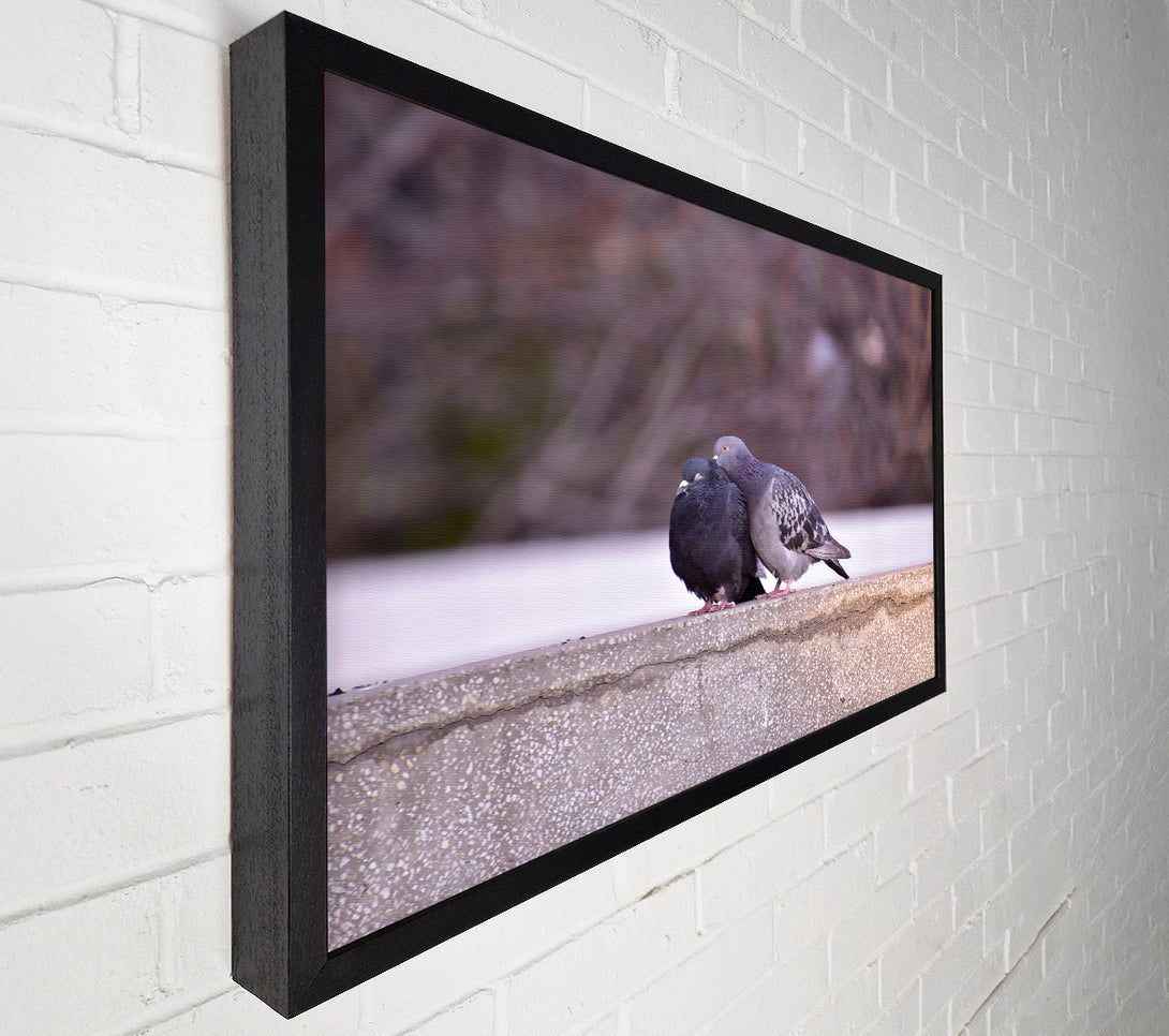  A Canvas Print of Gray Feathers On Concrete Canvas Art