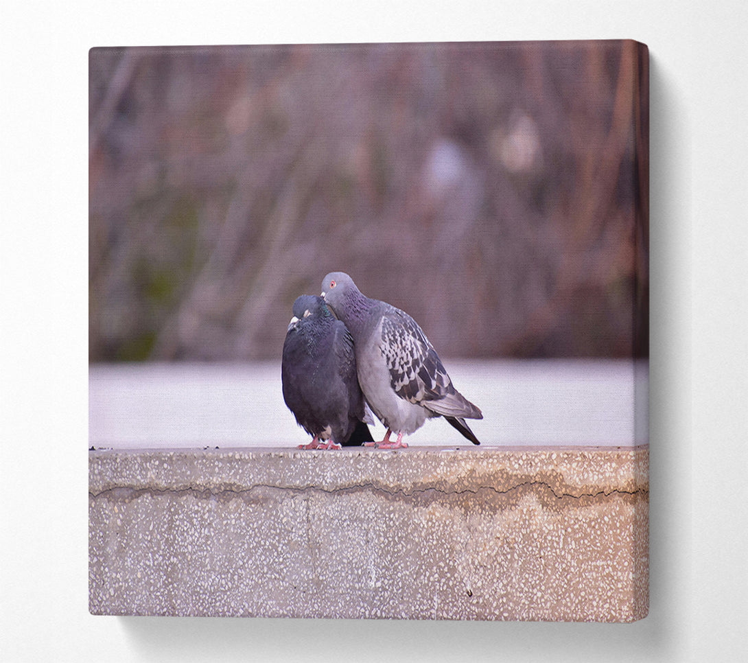  A Canvas Print of Gray Feathers On Concrete Canvas Art