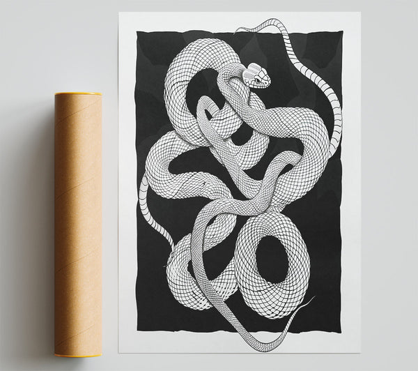 Black Snake Coils Poster