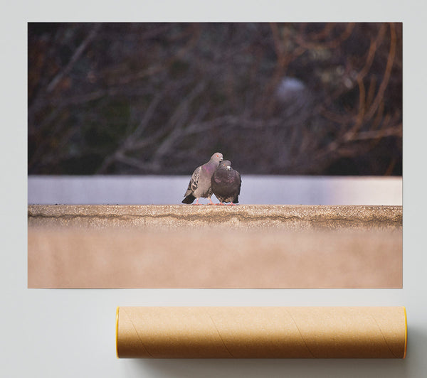 Tan Concrete Lovebirds Print