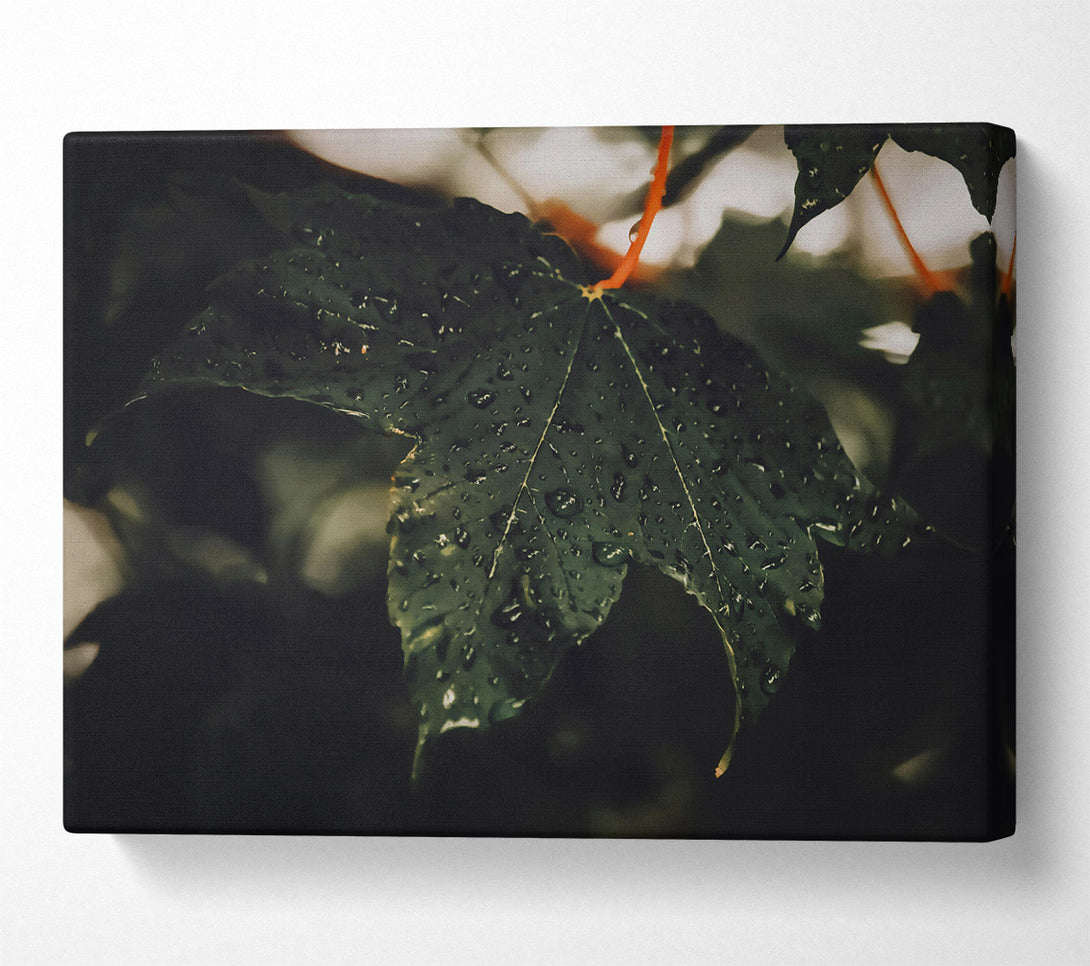  A Canvas Print of Emerald Dew Drops Canvas Wall Art