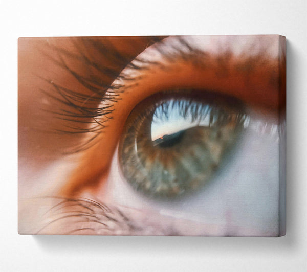  A Canvas Print of Orange Sunset Eye Canvas Wall Art
