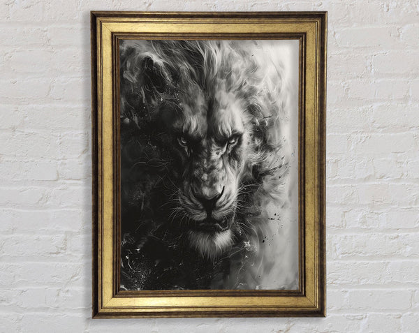 White And White Lion Fierce Framed Print