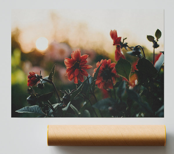 Crimson Sunset Blooms Giclee Print