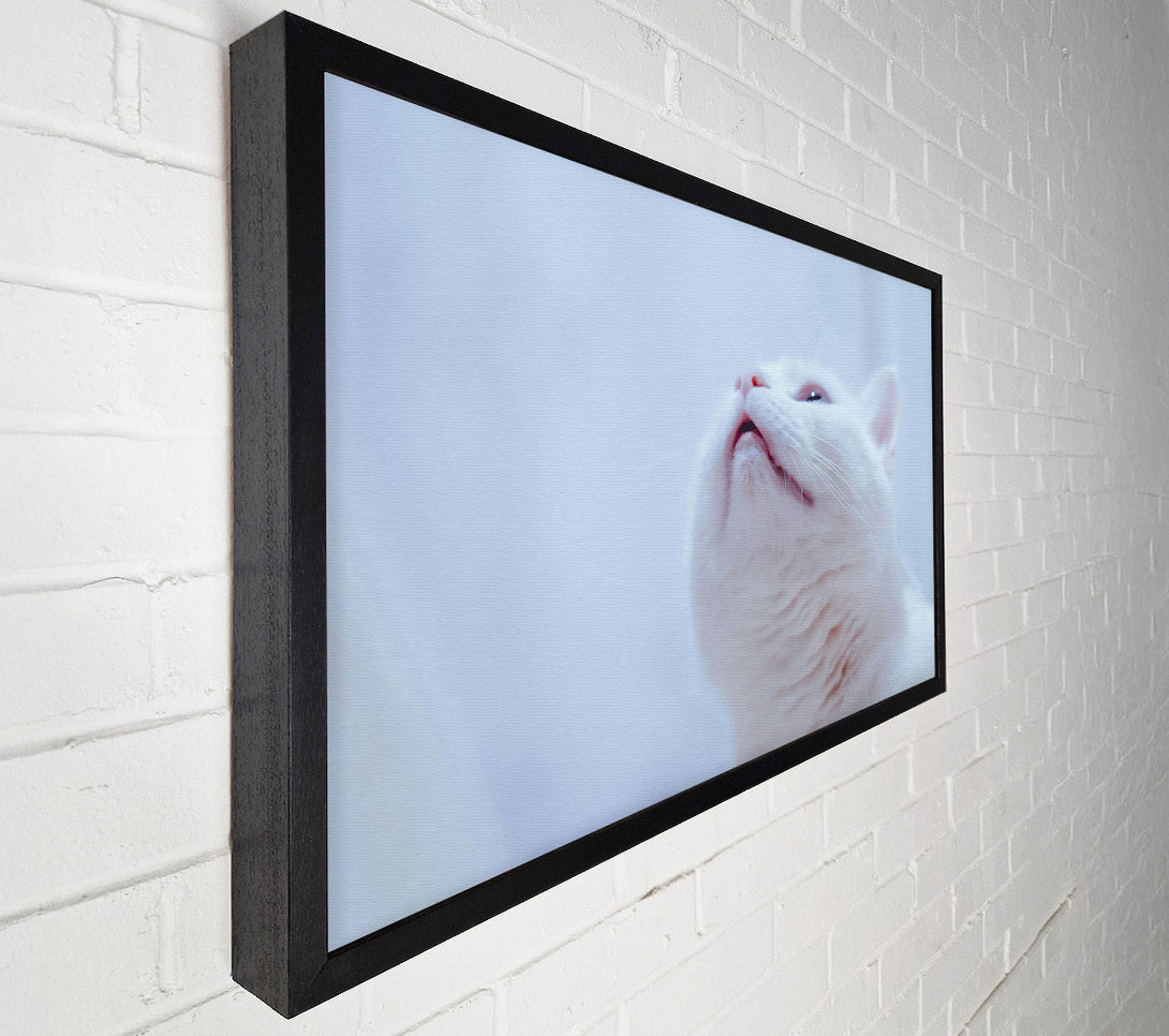  A Canvas Print of Whimsical White Gaze Canvas Wall Art