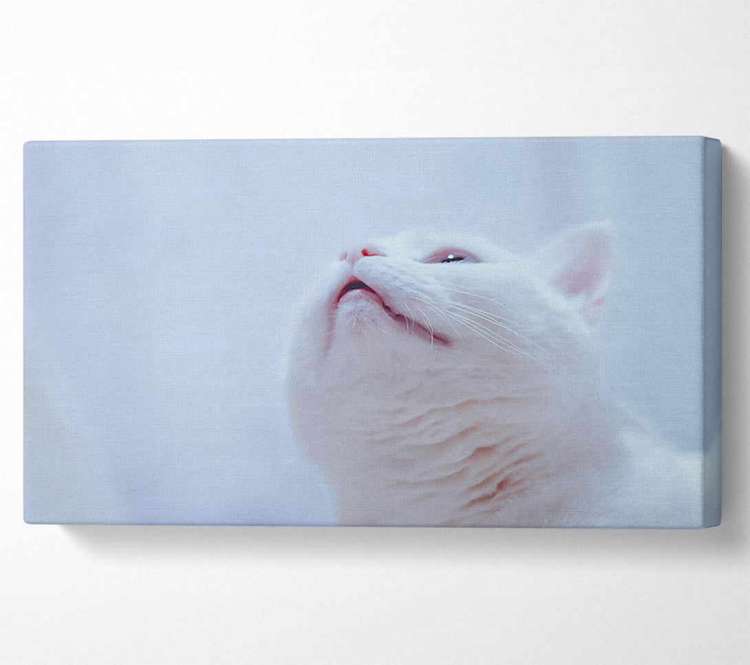 A Canvas Print of Whimsical White Gaze Canvas Wall Art