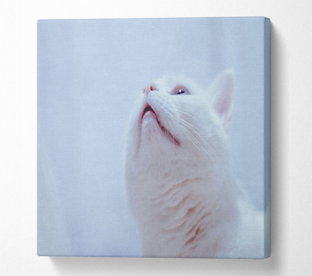  A Canvas Print of Whimsical White Gaze Canvas Wall Art