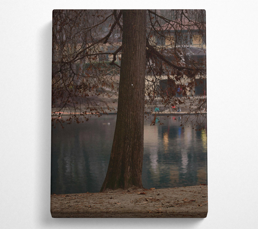 A Canvas Print of Brown Trunk By The Lake Canvas Art