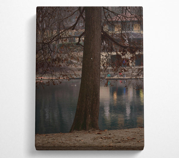  A Canvas Print of Brown Trunk By The Lake Canvas Art