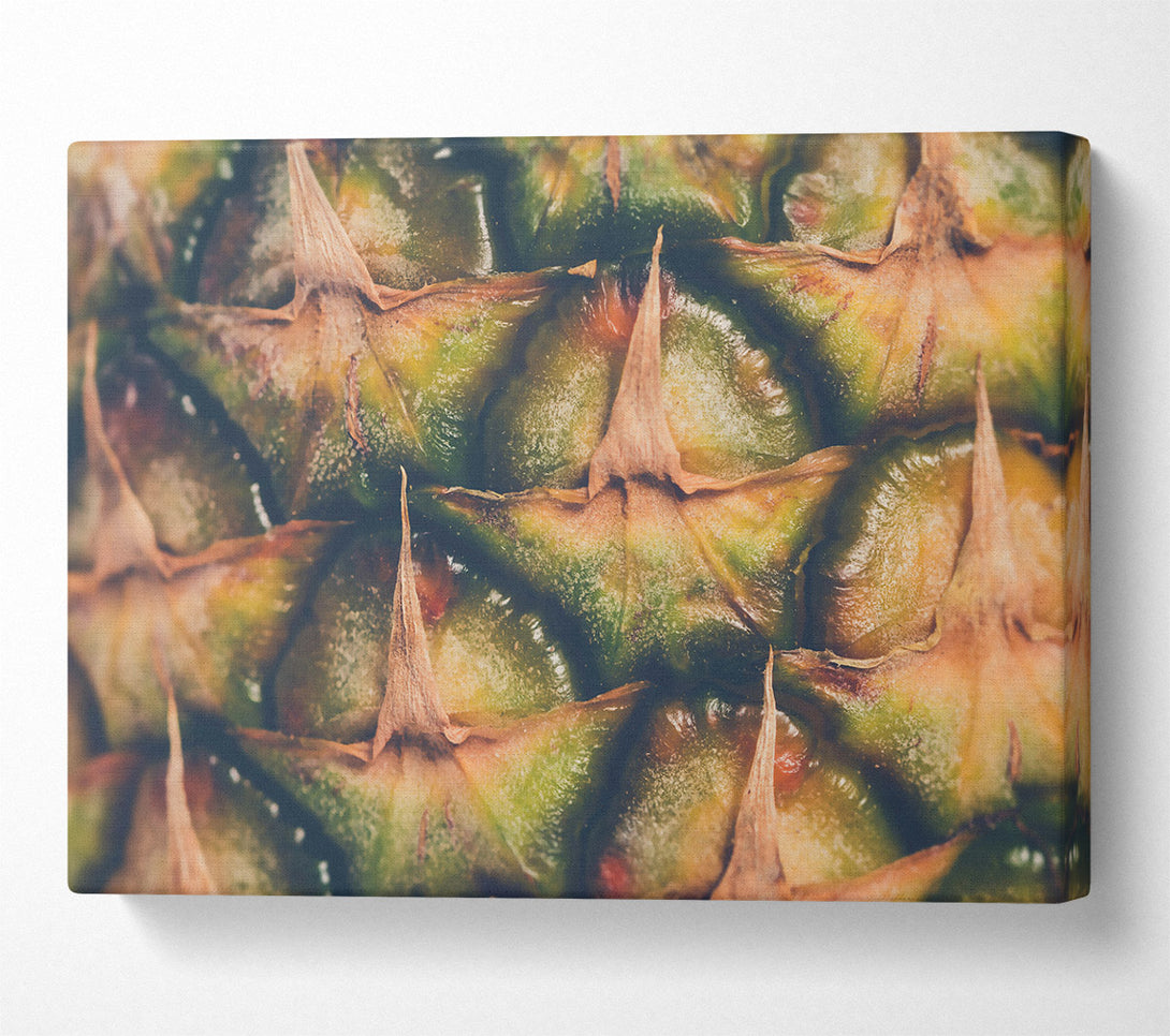  A Canvas Print of Green Pineapple Skin Canvas Art