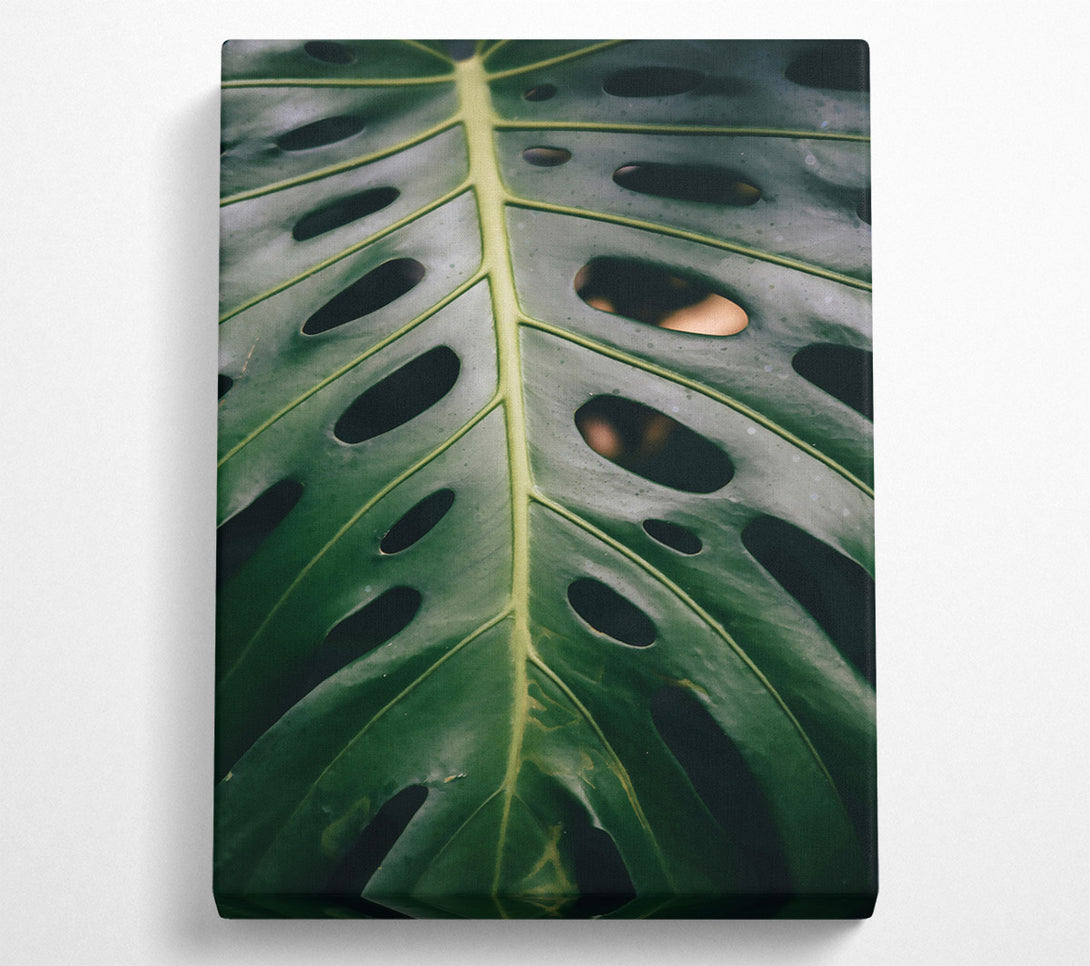  A Canvas Print of Emerald Leaf Veins Canvas Print