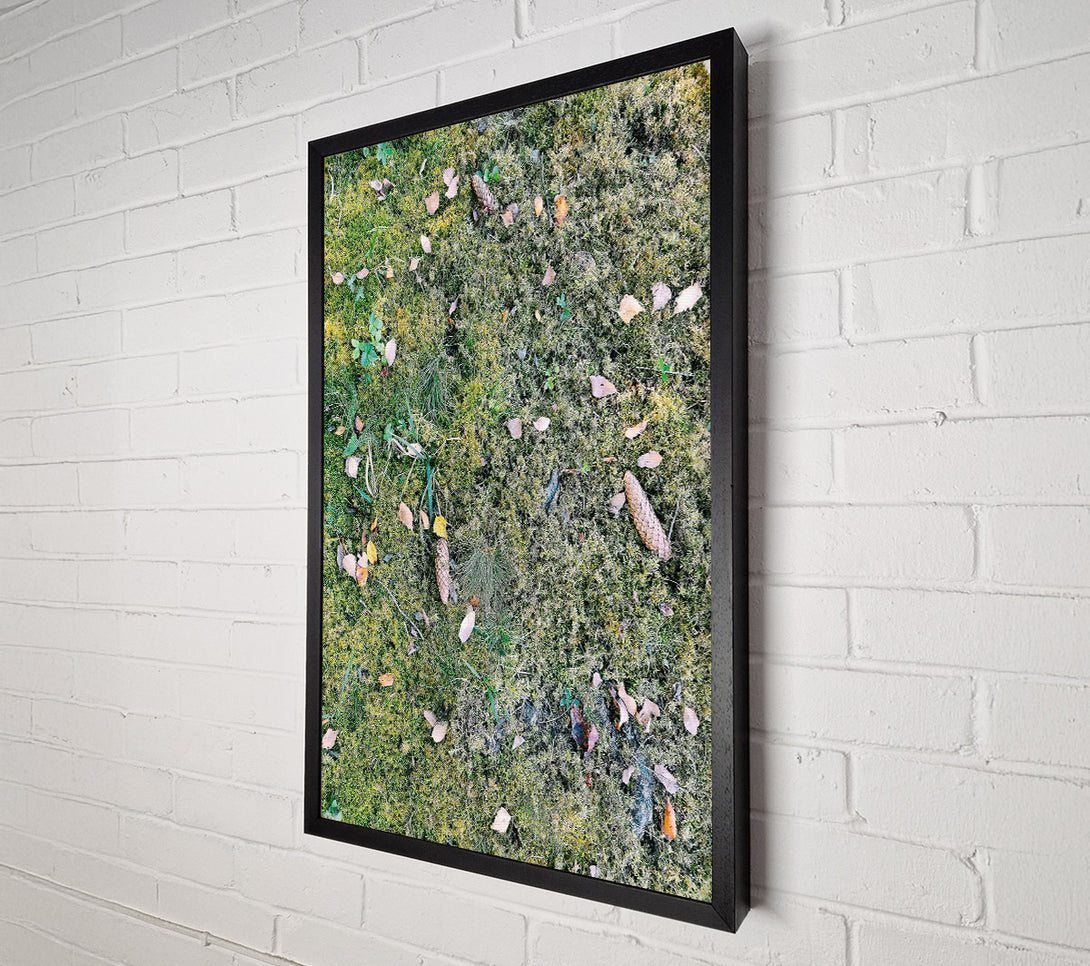  A Canvas Print of Green Mossy Ground Canvas Print