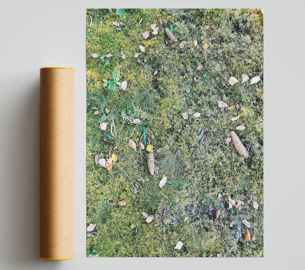 Green Mossy Ground Print