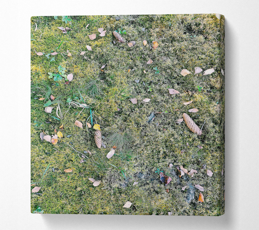  A Canvas Print of Green Mossy Ground Canvas Print
