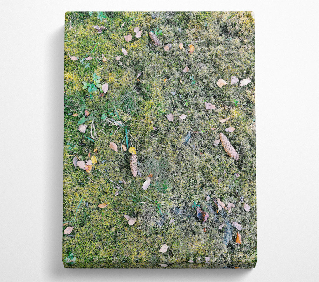  A Canvas Print of Green Mossy Ground Canvas Print