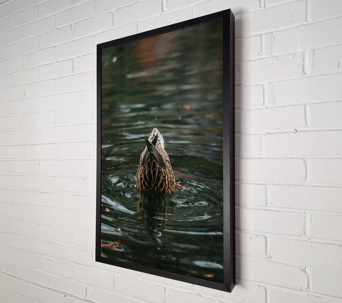  A Canvas Print of Green Duck Tail Dive Canvas Art