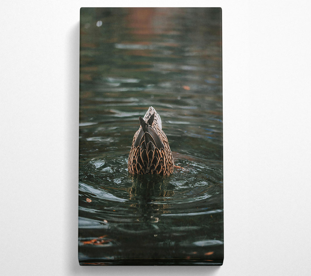  A Canvas Print of Green Duck Tail Dive Canvas Art